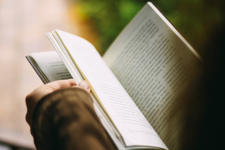 Person reading a wine book outdoors